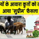 Supreme Court News