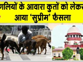 Supreme Court stray dogs decision: दिल्ली-एनसीआर में आवारा कुत्तों को लेकर आया ‘सुप्रीम’ फैसला Supreme Court News
