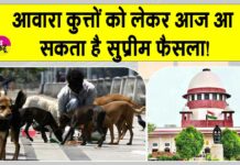 Supreme Court News