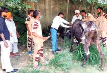 Sunam News