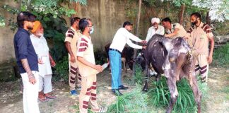 Sunam News