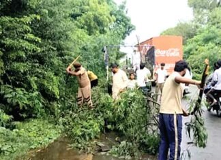 डेरा श्रद्धालुओं ने बठिंडा रोड पर गिरे पेड़ों की टहनियों को हटाया Sunam Udham Singh Wala News