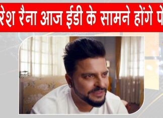 Cricketer Suresh Raina news