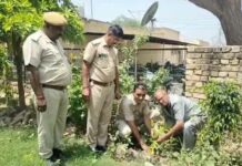 Hanumangarh News