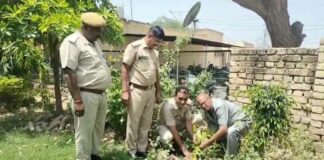 Hanumangarh News