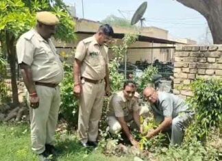 Hanumangarh News