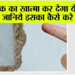 Termite Treatment