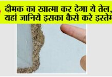 Termite Treatment