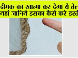 Termite Treatment