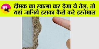 Termite Treatment