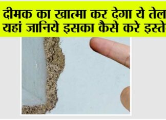 Termite Treatment