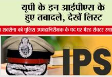 UP IPS Transfer
