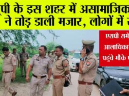 UP News