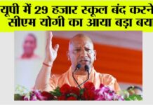 UP School News