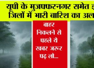 UP Weather: यूपी के मुजफ्फरनगर समेत इन जिलों में भारी बारिश का अलर्ट, बाहर निकलने से पहले ये खबर जरूर पढ़ लो… UP Weather