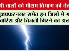 UP Weather News