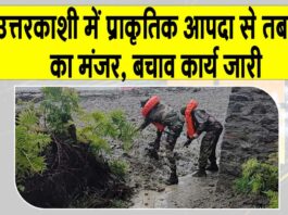 Uttarakhand News