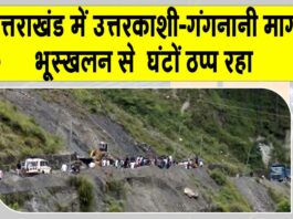 Uttarkashi landslide News