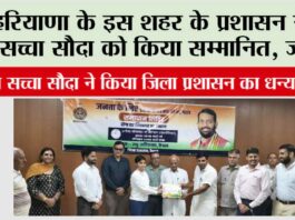 dera sacha sauda