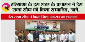 dera sacha sauda