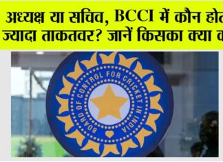 BCCI News: अध्यक्ष या सचिव, BCCI में कौन होता है ज्यादा ताकतवर? जानें किसका क्या काम BCCI News