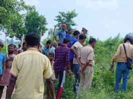 Bahraich News