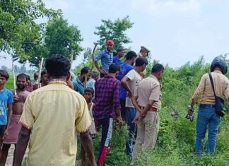 Bahraich News