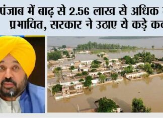 Punjab Flood Update: पंजाब में बाढ़ से 2.56 लाख से अधिक लोग प्रभावित, सरकार ने उठाए ये कड़े कदम Chandigarh