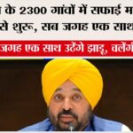 Punjab News