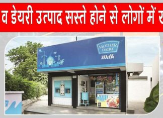 Milk Paneer GST free: दूध और डेयरी उत्पाद सस्ते होने से आम आदमी में खुशी Milk Paneer GST free