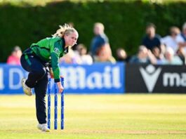 Freya Sargent Cricket