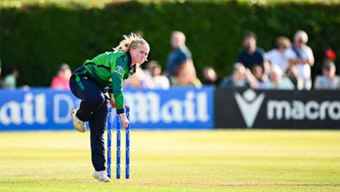 Freya Sargent Cricket Freya Sargent Cricket