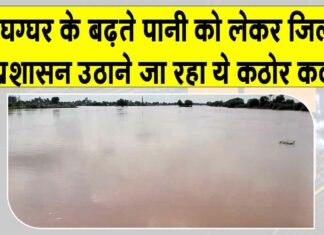 Ghaggar Water Level