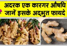 Ginger Benefits