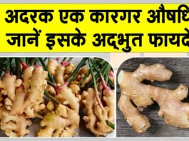 Ginger Benefits
