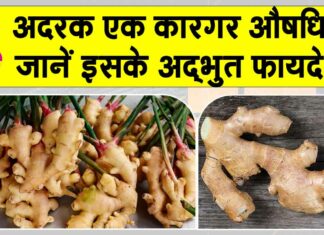 Ginger Benefits