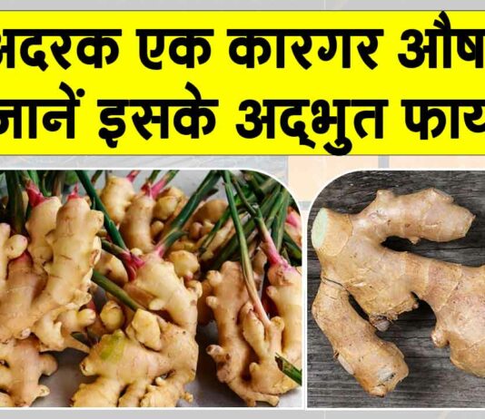 Ginger Benefits