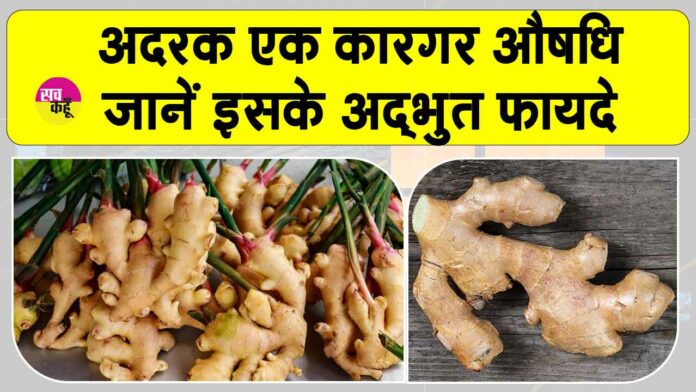 Ginger Benefits Ginger Benefits