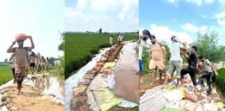 Kaithal News