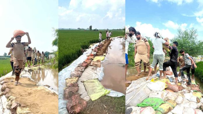 Kaithal News Kaithal News