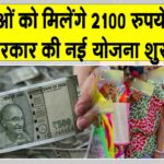 Haryana News