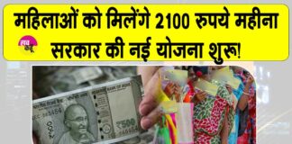 Haryana News