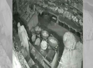 Hanumangarh Theft News