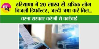 Haryana Electricity