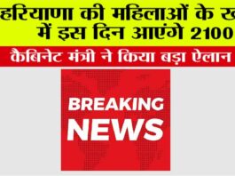 Haryana News