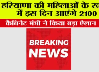 Haryana News