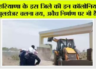 Haryana News