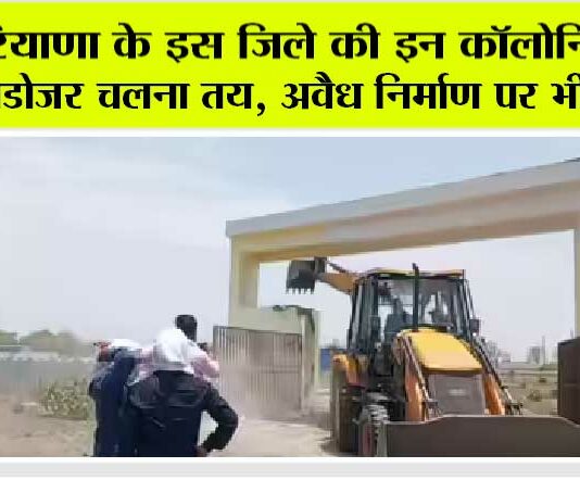 Haryana News