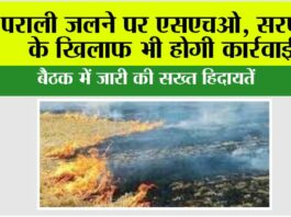 Haryana News: पराली जलने पर एसएचओ, सरपंचों के खिलाफ भी होगी कार्रवाई Haryana News: