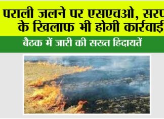 Haryana News: पराली जलने पर एसएचओ, सरपंचों के खिलाफ भी होगी कार्रवाई Haryana News: